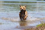 STAFFIE 176